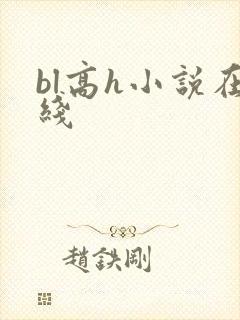 bl高h小说在线
