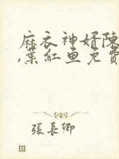 麻衣神婿陈黄皮,叶红鱼免费听书封面