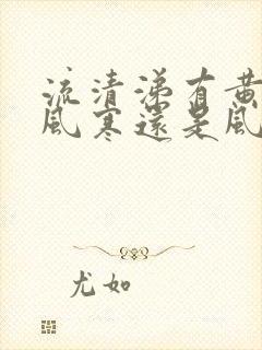 流清涕有黄痰是风寒还是风热