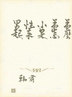 男性小弟弟硬不起来是怎么回事