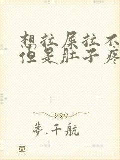 想拉屎拉不出来但是肚子疼怎么回事