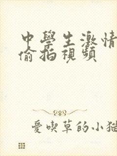 中学生激情久久偷拍视频封面