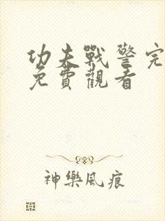 功夫战警完整版免费观看