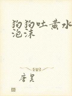 狗狗吐黄水带点泡沫