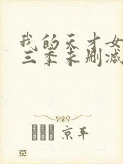 我的天才女友第三季未删减