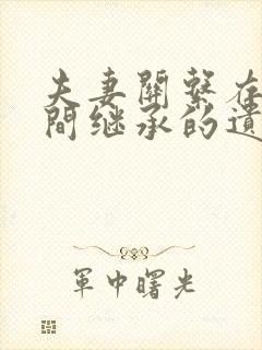 夫妻关系存续期间继承的遗产