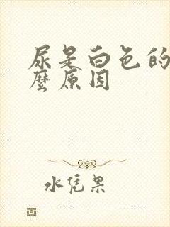 尿是白色的是什么原因