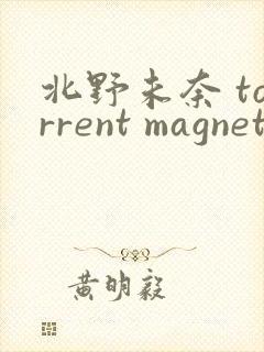 北野未奈 torrent magnet