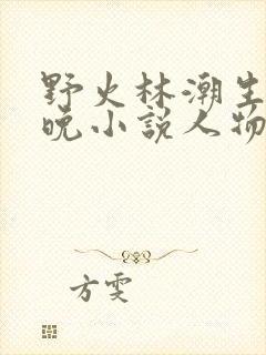 野火林潮生林晚晚小说人物野火