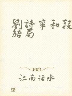 刘诗宁和段云平结局