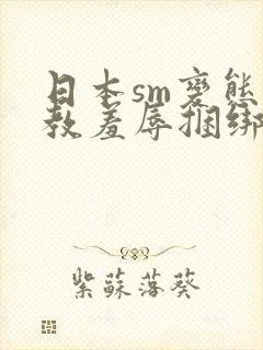 日本sm变态调教羞辱捆绑视频