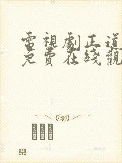 电视剧正道无敌免费在线观看