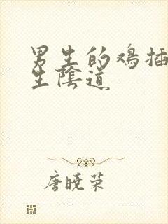 男生的鸡插入女生阴道