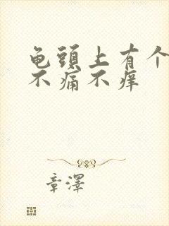 龟头上有个肉粒不痛不痒封面