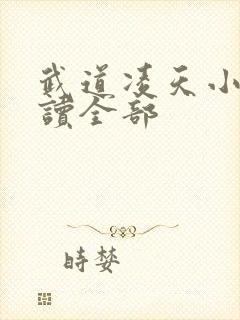 武道凌天小说阅读全部