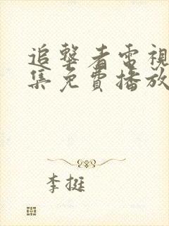 追击者电视剧全集免费播放高清