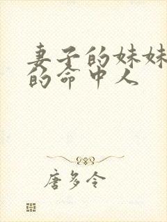 妻子的妹妹是我的命中人