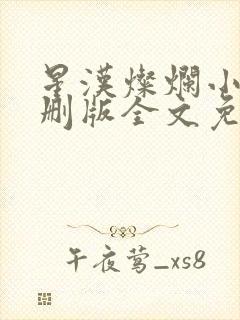 星汉灿烂小说未删版全文免费阅读