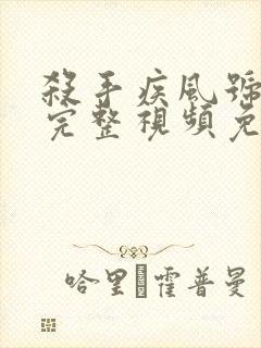 杀手疾风号在线完整视频免费观看封面