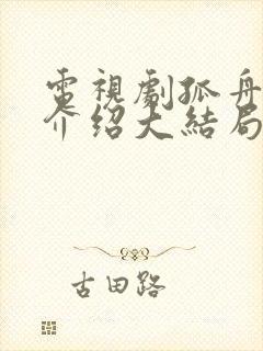 电视剧孤舟剧情介绍大结局