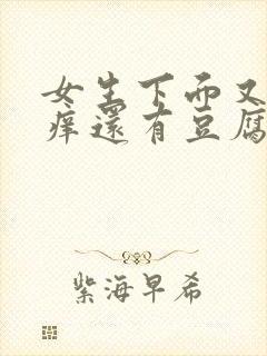 女生下面又疼又痒还有豆腐渣