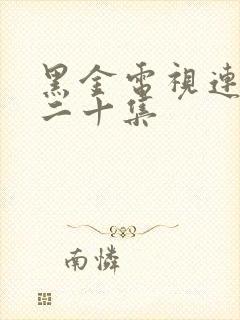 黑金电视连续剧二十集