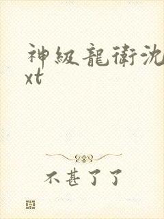神级龙卫沈浪txt