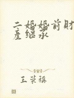 二婚婚前财产遗产继承封面