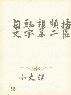 日韩视频播放中文字幕二区封面