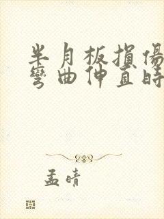 半月板损伤膝盖弯曲伸直时嘎吱响