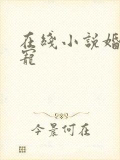 在线小说婚婚欲宠