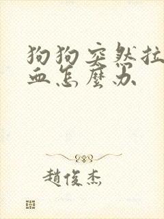 狗狗突然拉稀带血怎么办