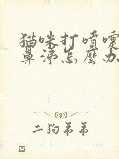 猫咪打喷嚏流黄鼻涕怎么办