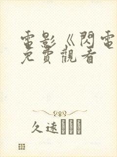 电影《闪电战》免费观看