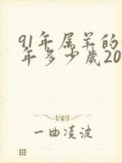 91年属羊的今年多少岁2023年虚岁