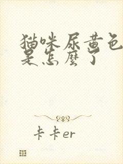 猫咪尿黄色的尿是怎么了