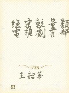 绝密较量类似的电视剧有哪些