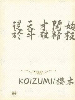 从天才开始无敌于斗破精校版封面