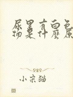 尿里有白色沉淀物是什么原因