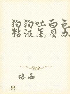 狗狗吐白色泡沫粘液怎么办