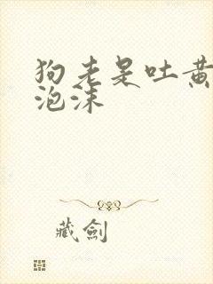 狗老是吐黄水带泡沫