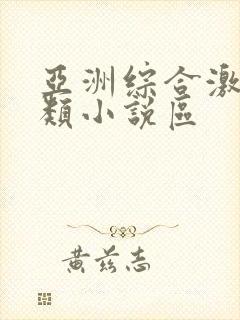 亚洲综合激情另类小说区