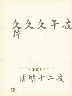 久久久午夜免毛片