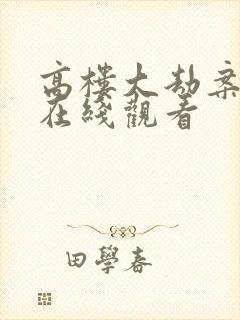 高楼大劫案电影在线观看封面