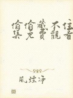 偷偷藏不住20集免费观看