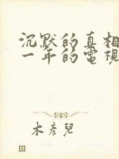 沉默的真相是哪一年的电视剧