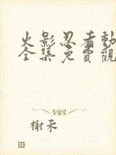 火影忍者动画片全集免费观看