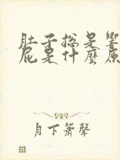 肚子总是响还放屁是什么原因