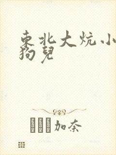 东北大炕小说 狗儿