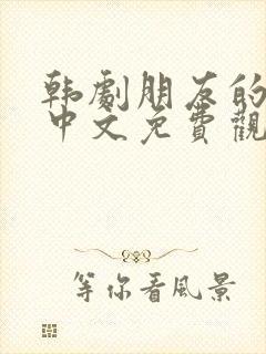 韩剧朋友的妈妈中文免费观看